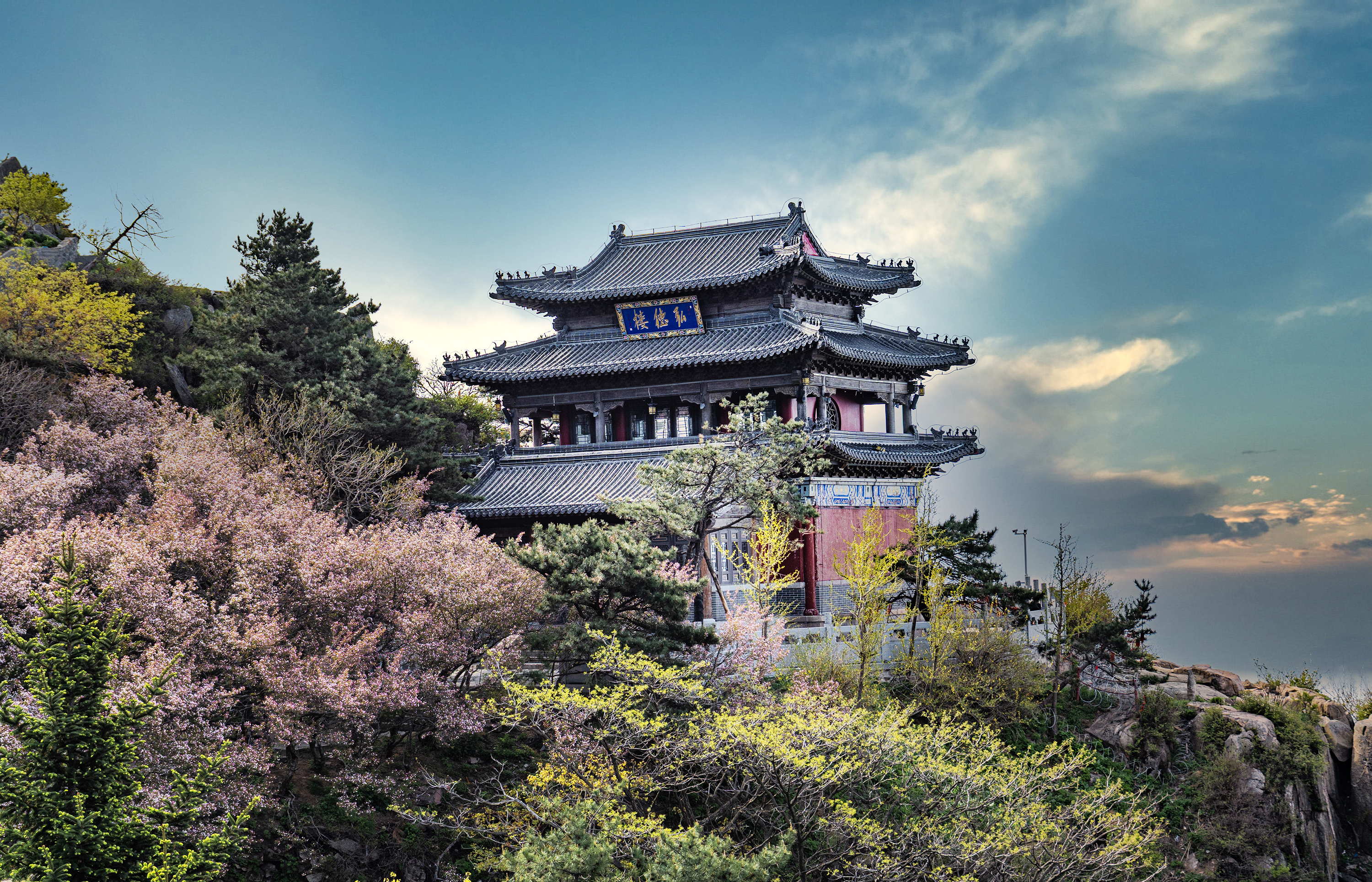 山东泰山